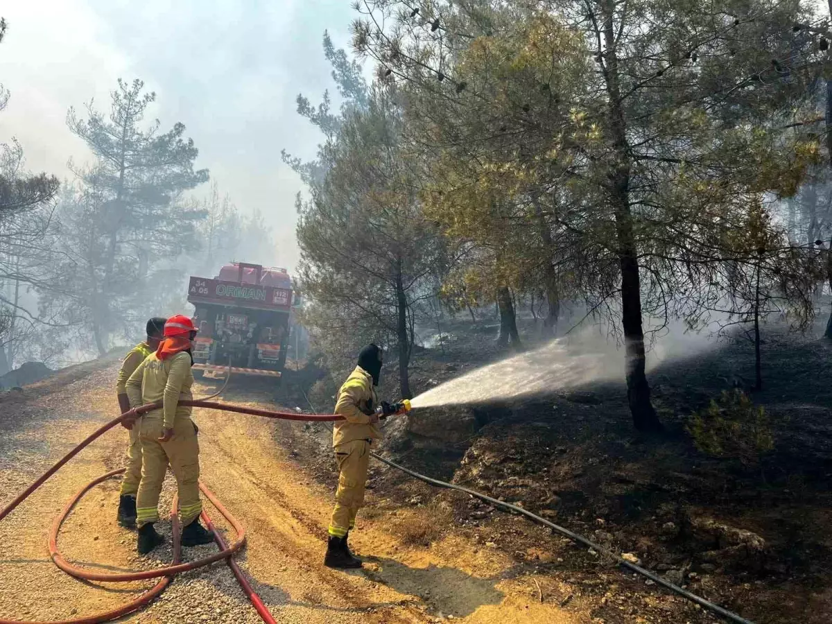 Sakarya ve Bilecik'te Orman Yangını Kontrol Altına Alınmaya Çalışılıyor