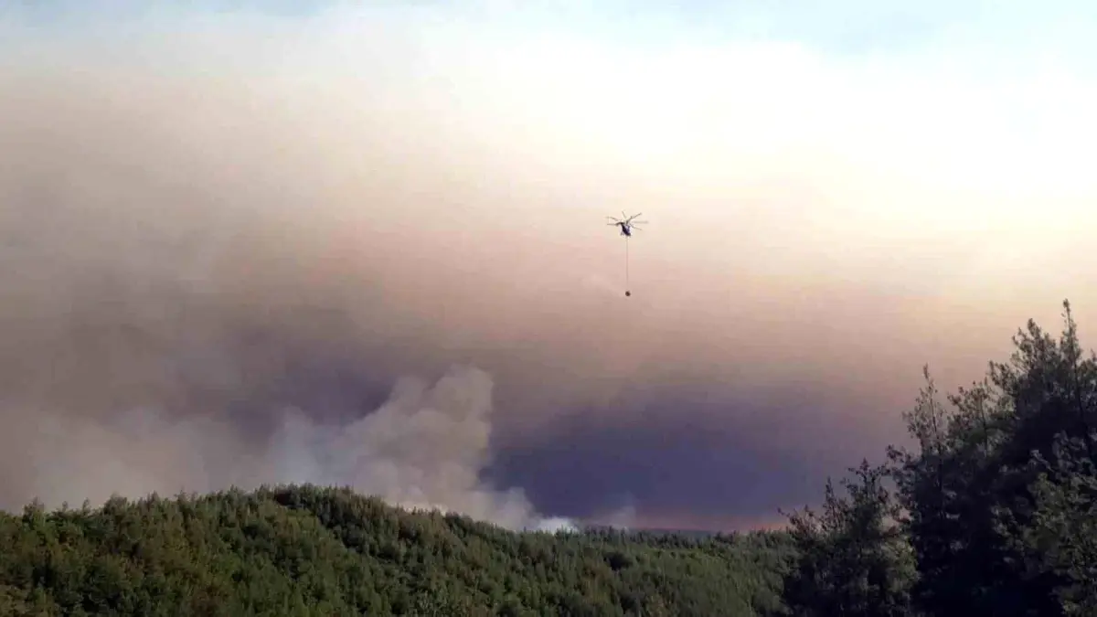 Sakarya'da Orman Yangını 24 Saatten Fazladır Kontrol Altına Alınamadı