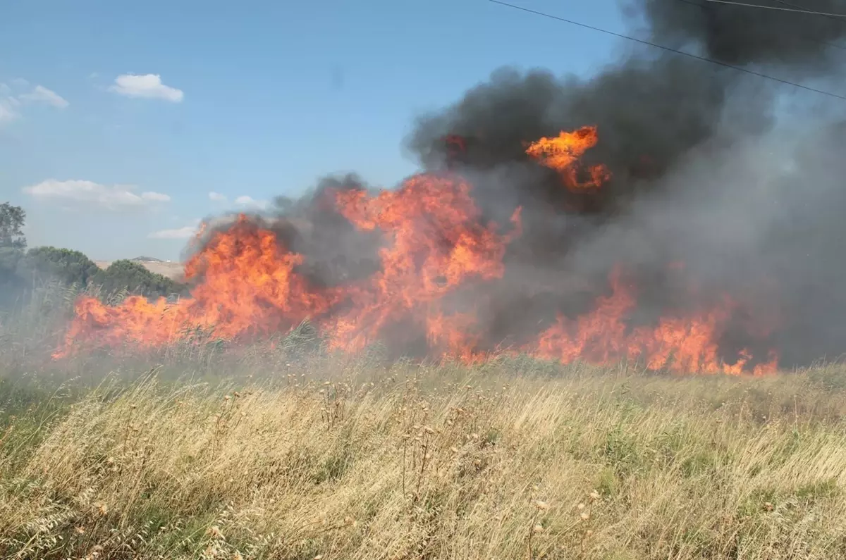 Ege Bölgesi'nde Orman Yangınları Riski Artıyor