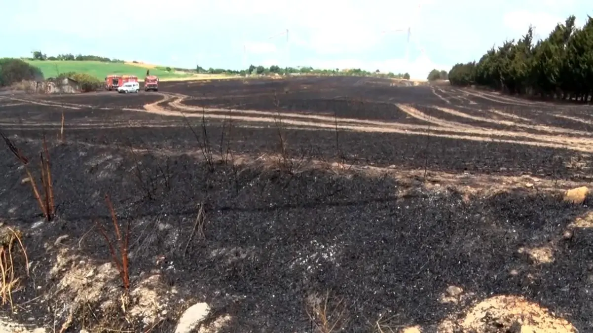 Silivri'de Tarla Yangını: 30 Dönüm Buğday Kül Oldu