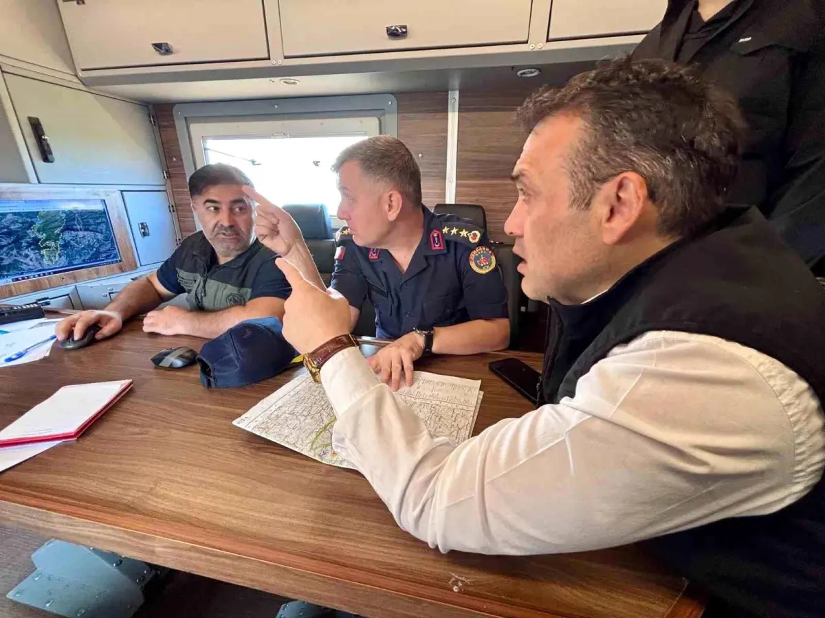 Bilecik'te Orman Yangını: 2 Bin Hektar Alan Tehlikede