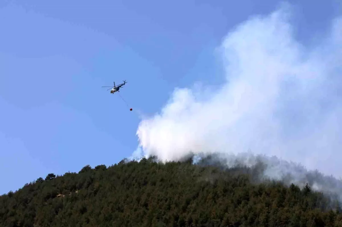 Kahramanmaraş'ta Orman Yangını: Anız Yakılması Nedeniyle Çıktı