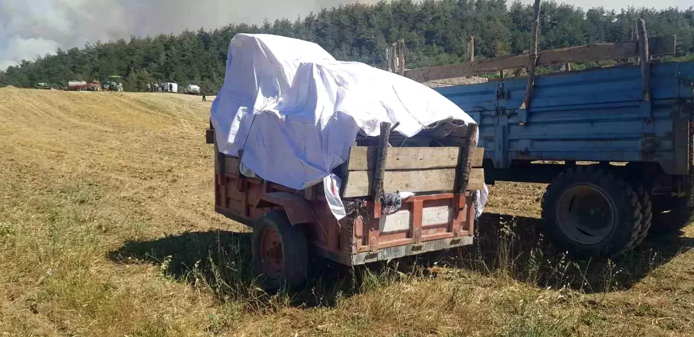 Sakarya'da Orman Yangını Sebebiyle Köyler Tahliye Ediliyor