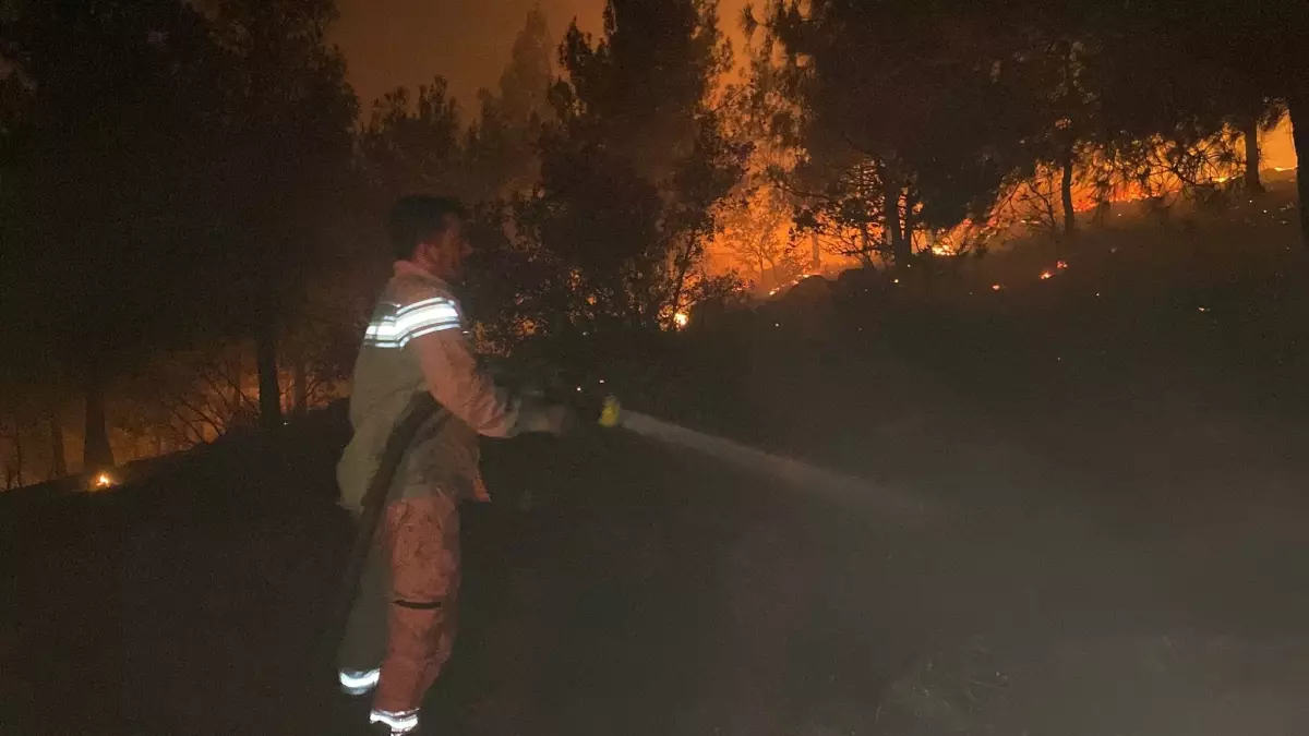 Kahramanmaraş'ta Orman Yangını 12 Saatlik Mücadeleyle Kontrol Altına Alındı