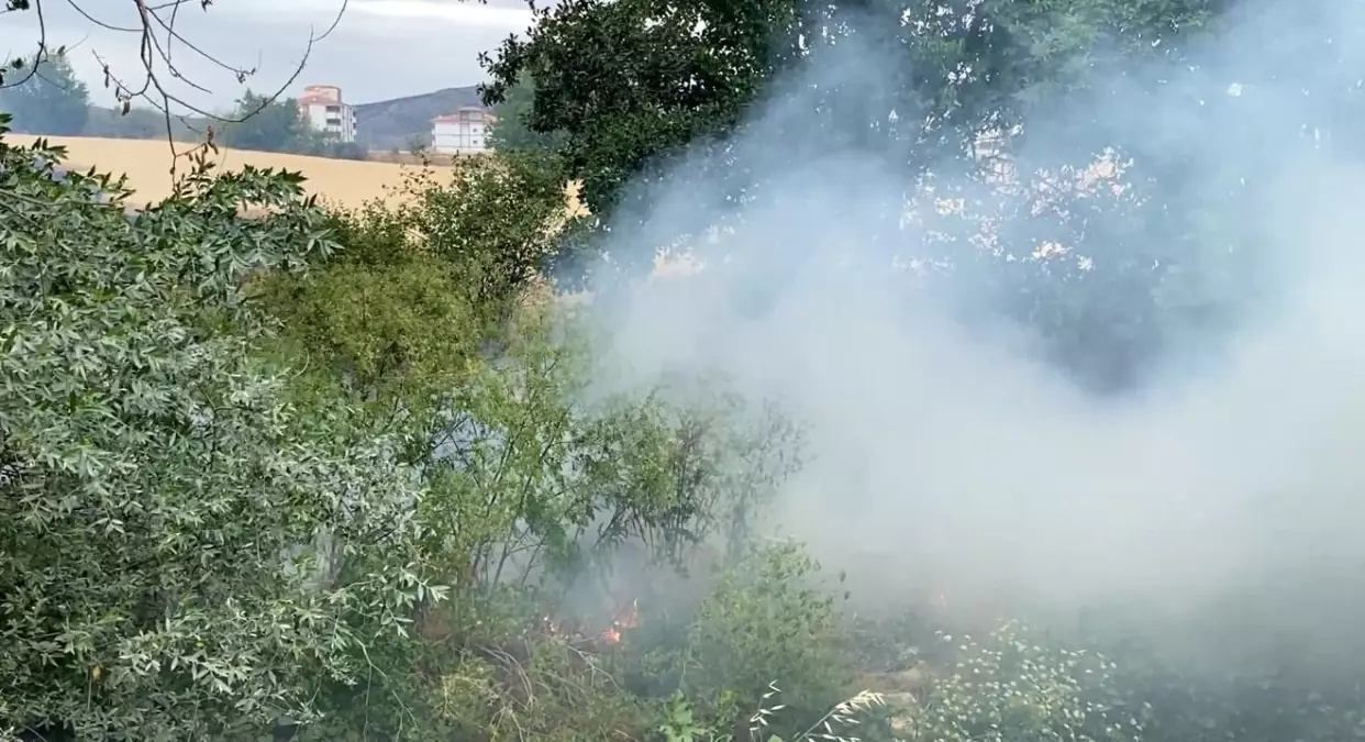 Tokat'ın Zile İlçesinde Yangın Paniği