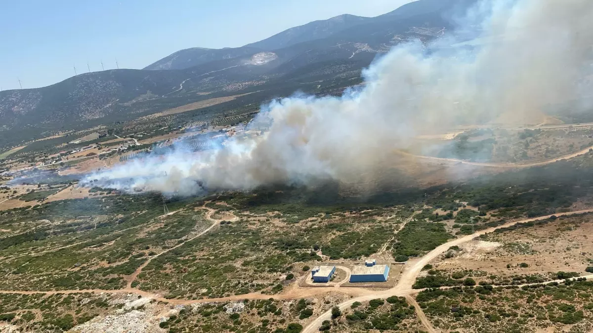 Didim'de Maki Yangını: Havadan ve Karadan Müdahele Devam Ediyor