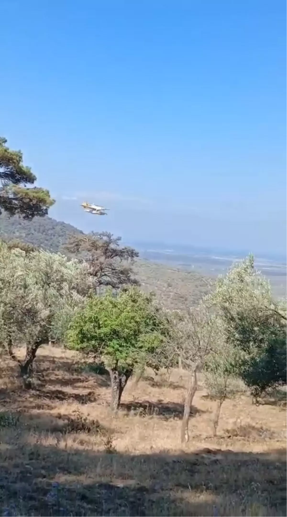 Balıkesir'de Orman Yangını 24 Saat Sonra Kontrol Altına Alındı
