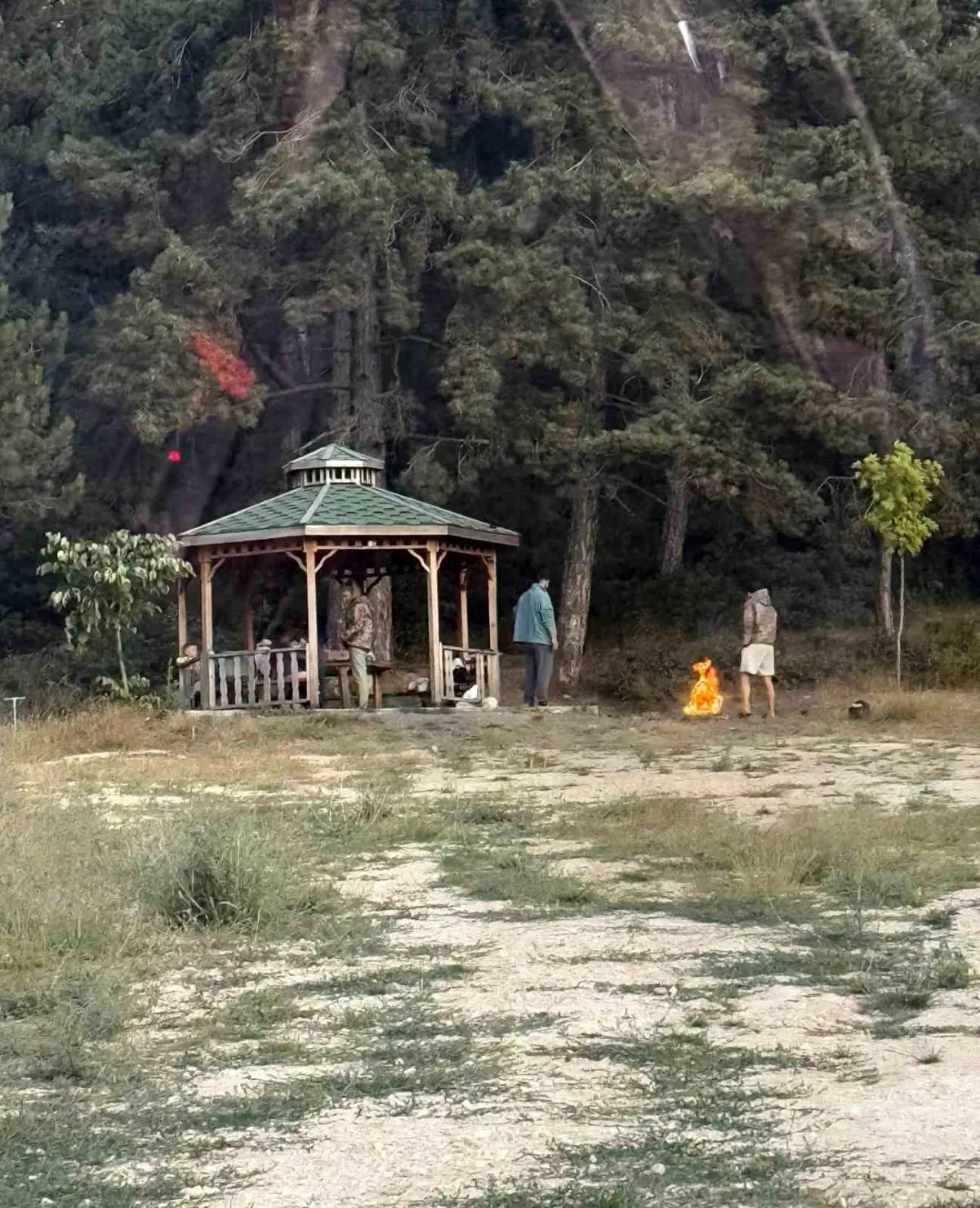 Bilecik'te Orman Yangını Sonrası 'Pes' Dedirten Görüntüler