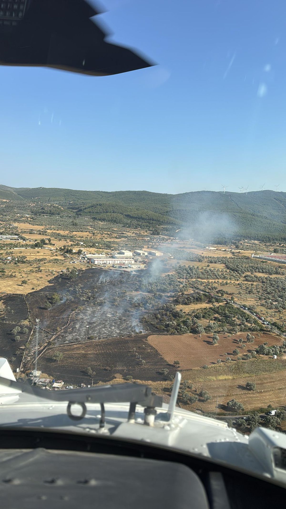 Bodrum'da Tarım Arazisinde Yangın: 2 Hektar Zarar
