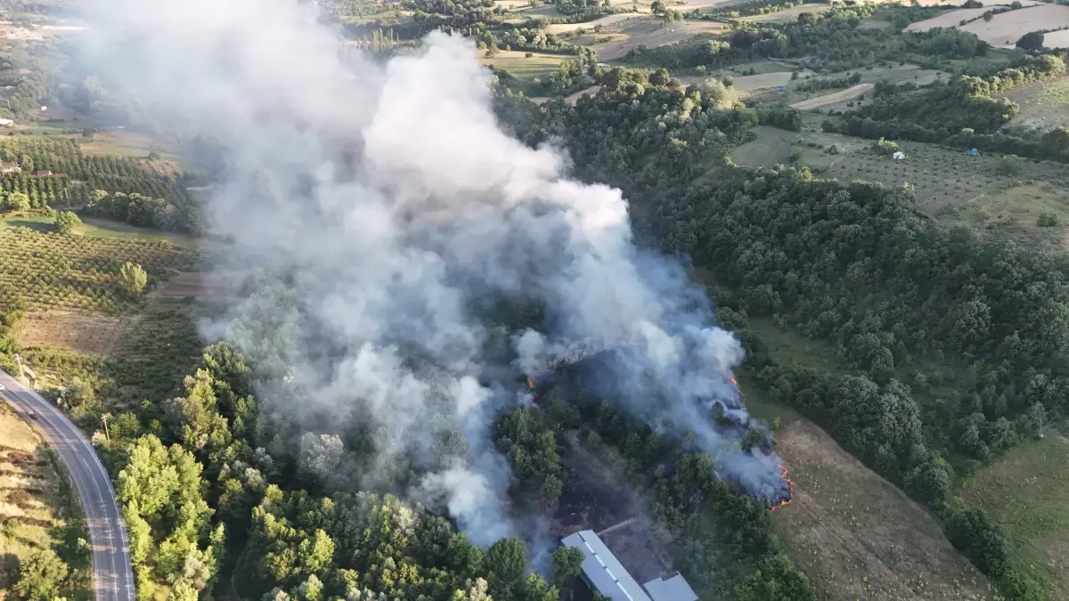 Bursa İnegöl'de Çöplükte Yangın Ormana Sıçradı