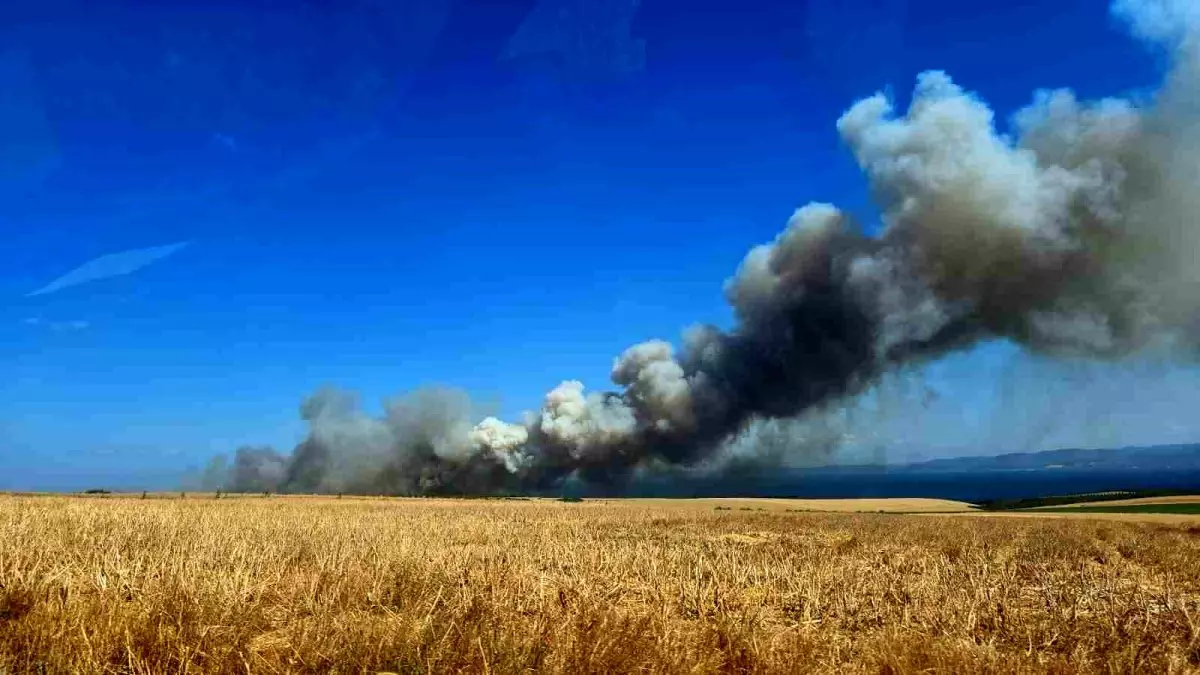 Çanakkale'de Tarım Arazisinde Yangın: 100 Dönüm Buğday Zarar Gördü