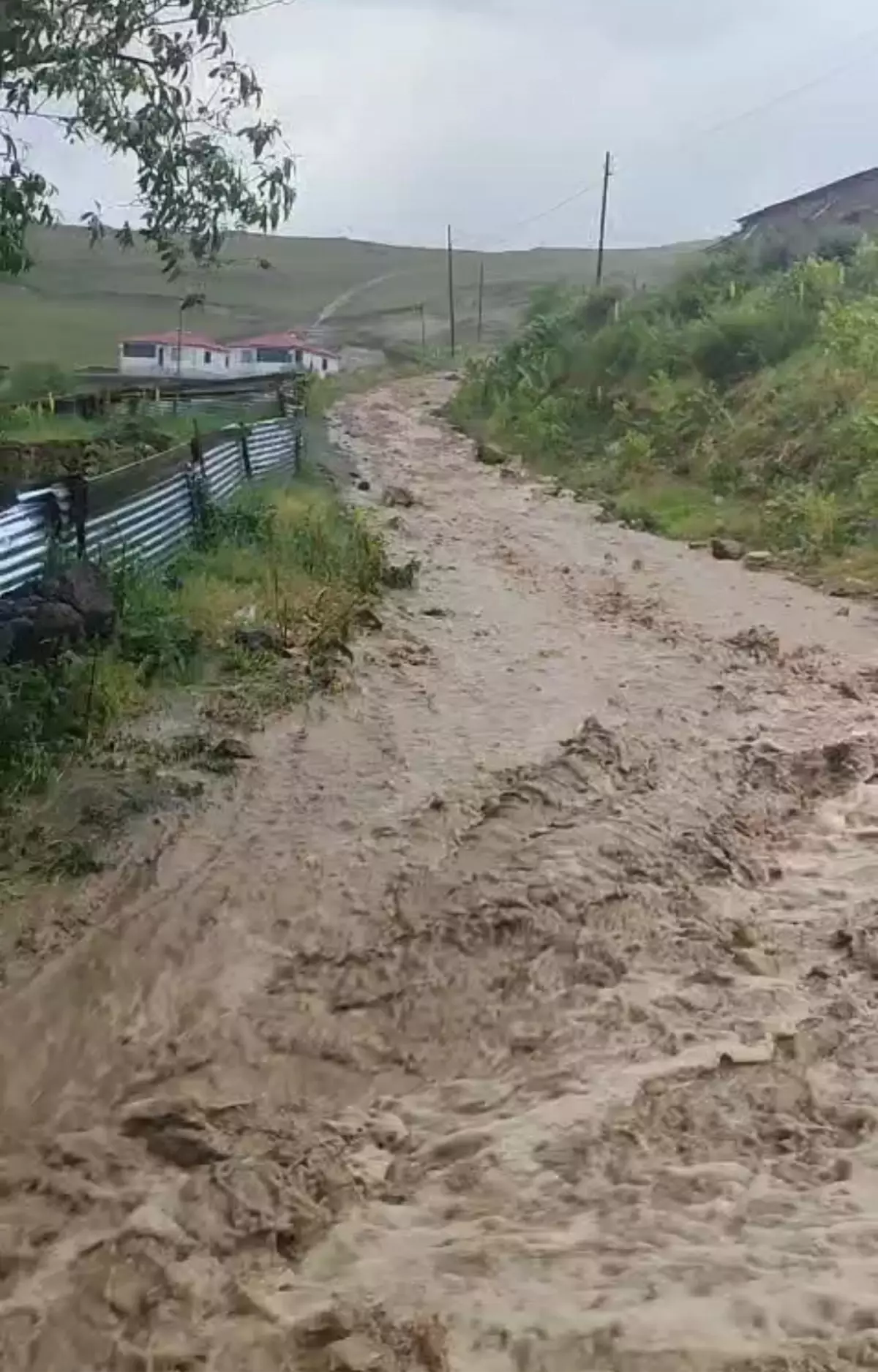 Ardahan Göle'de Kuvvetli Sağanak Sel Baskınına Neden Oldu