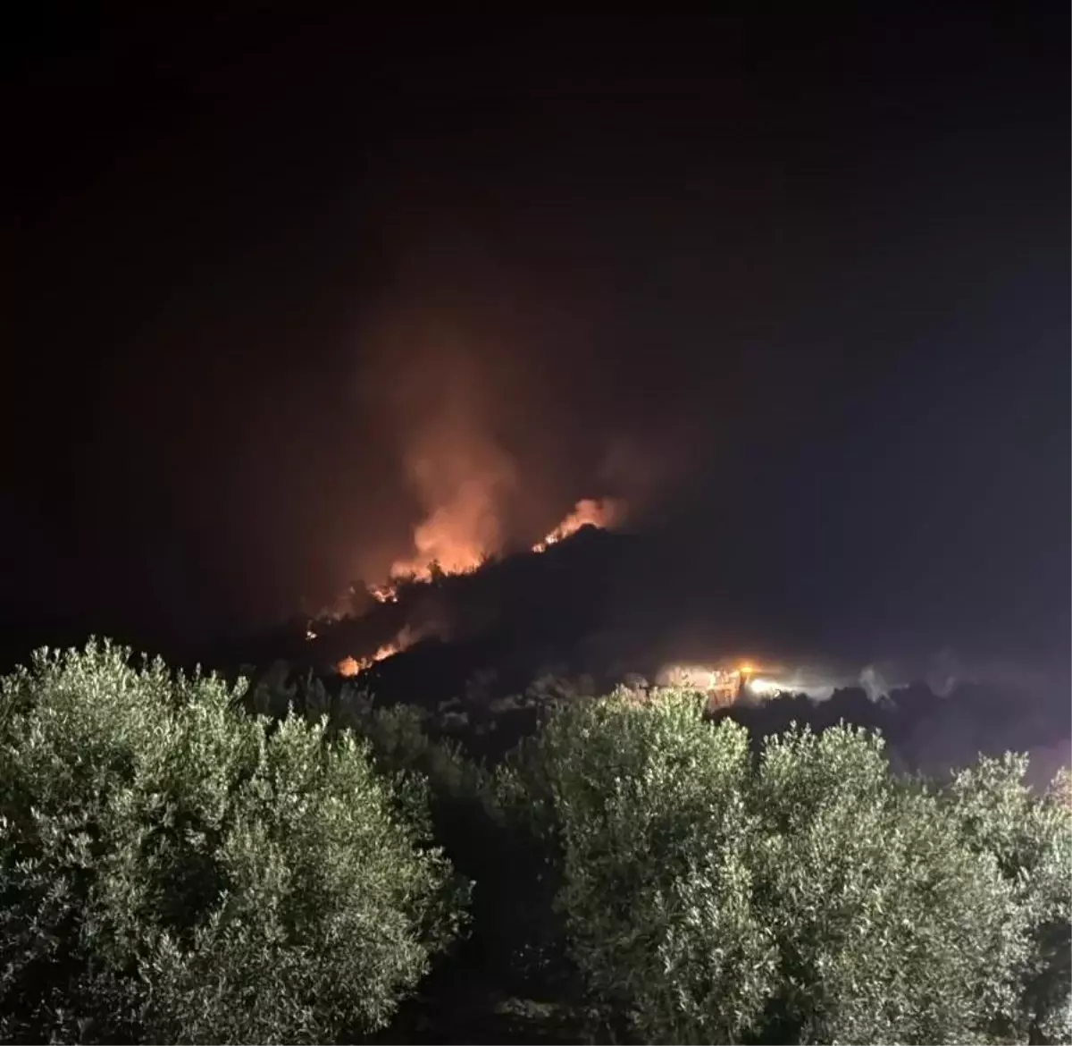 İzmir'de Yangın Tehdidi: Ekipler Seferihisar'da Alevlerle Mücadele Ediyor