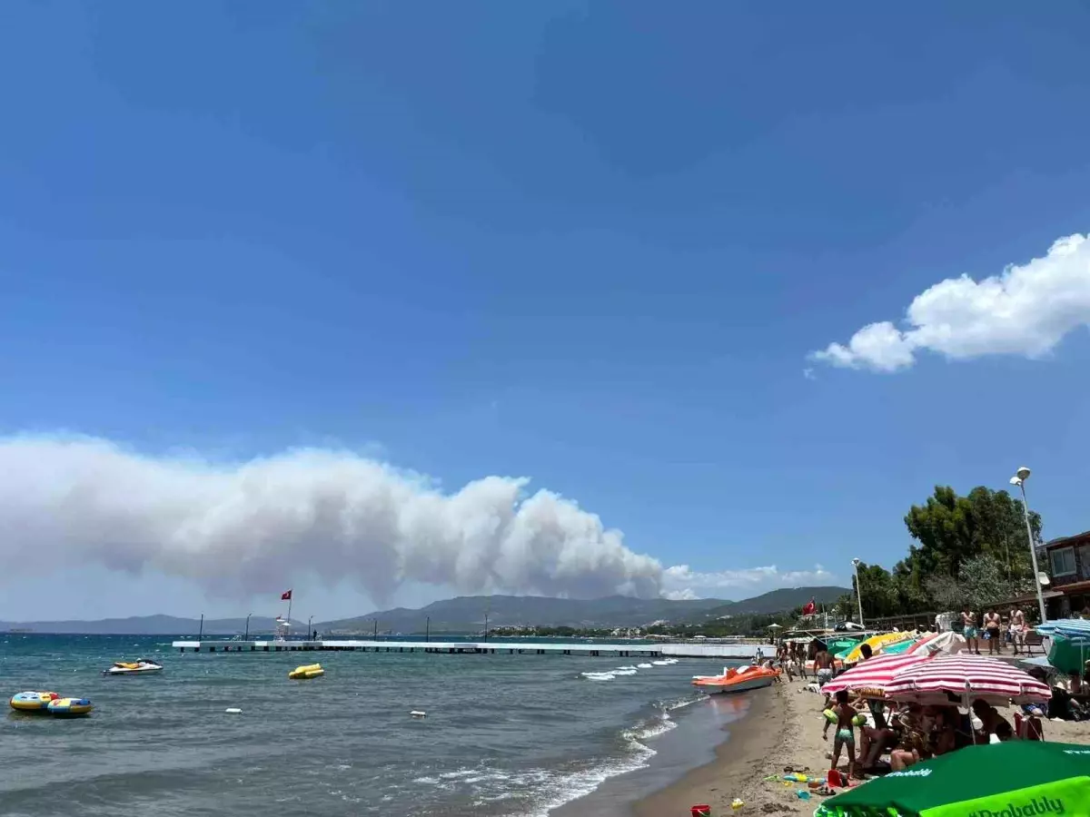 İzmir'de Orman Yangını: Havadan ve Karadan Müdahale Devam Ediyor