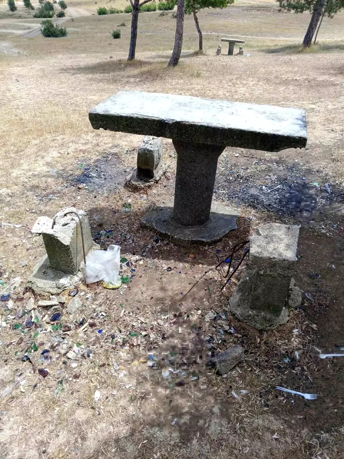 Müsellim Göleti Mesire Alanına Zarar Verildi