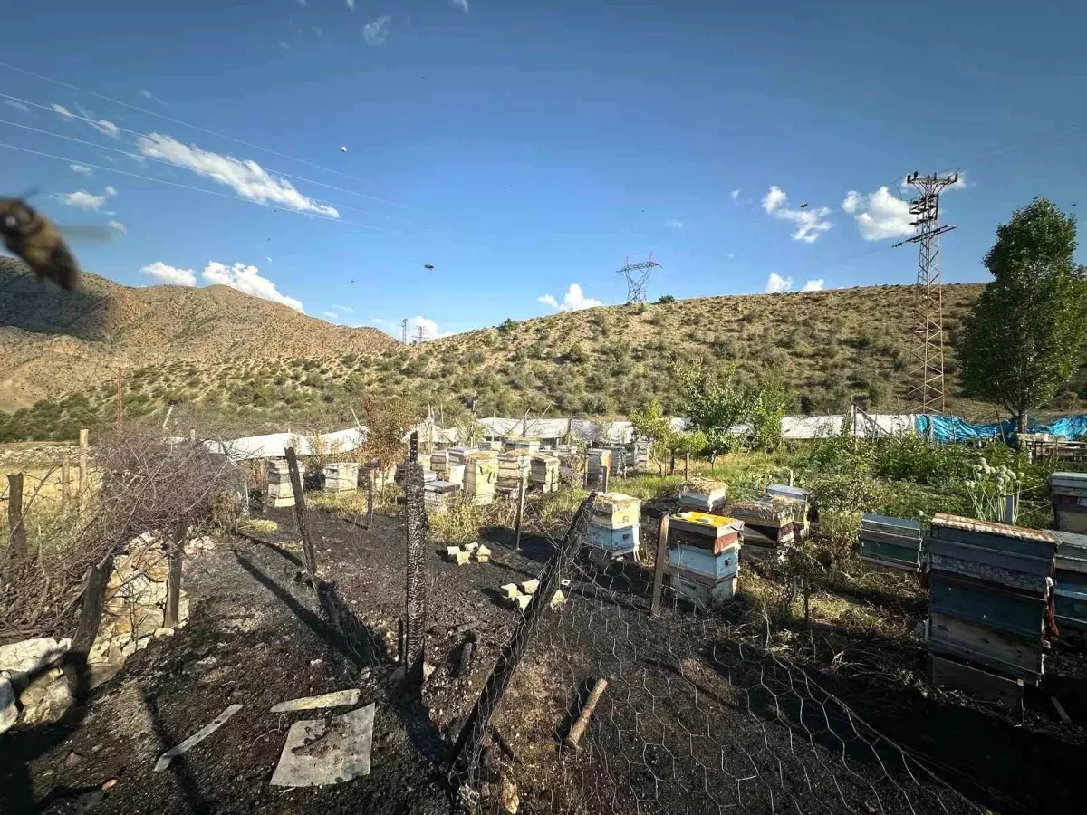 Erzurum'da Arı Kovanları Yangında Yok Oldu