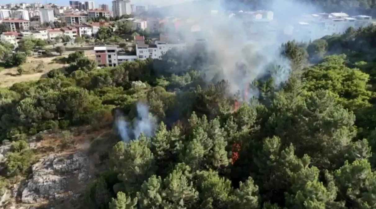 Pendik Aydos Ormanı'nda Yangın Kontrol Altına Alındı