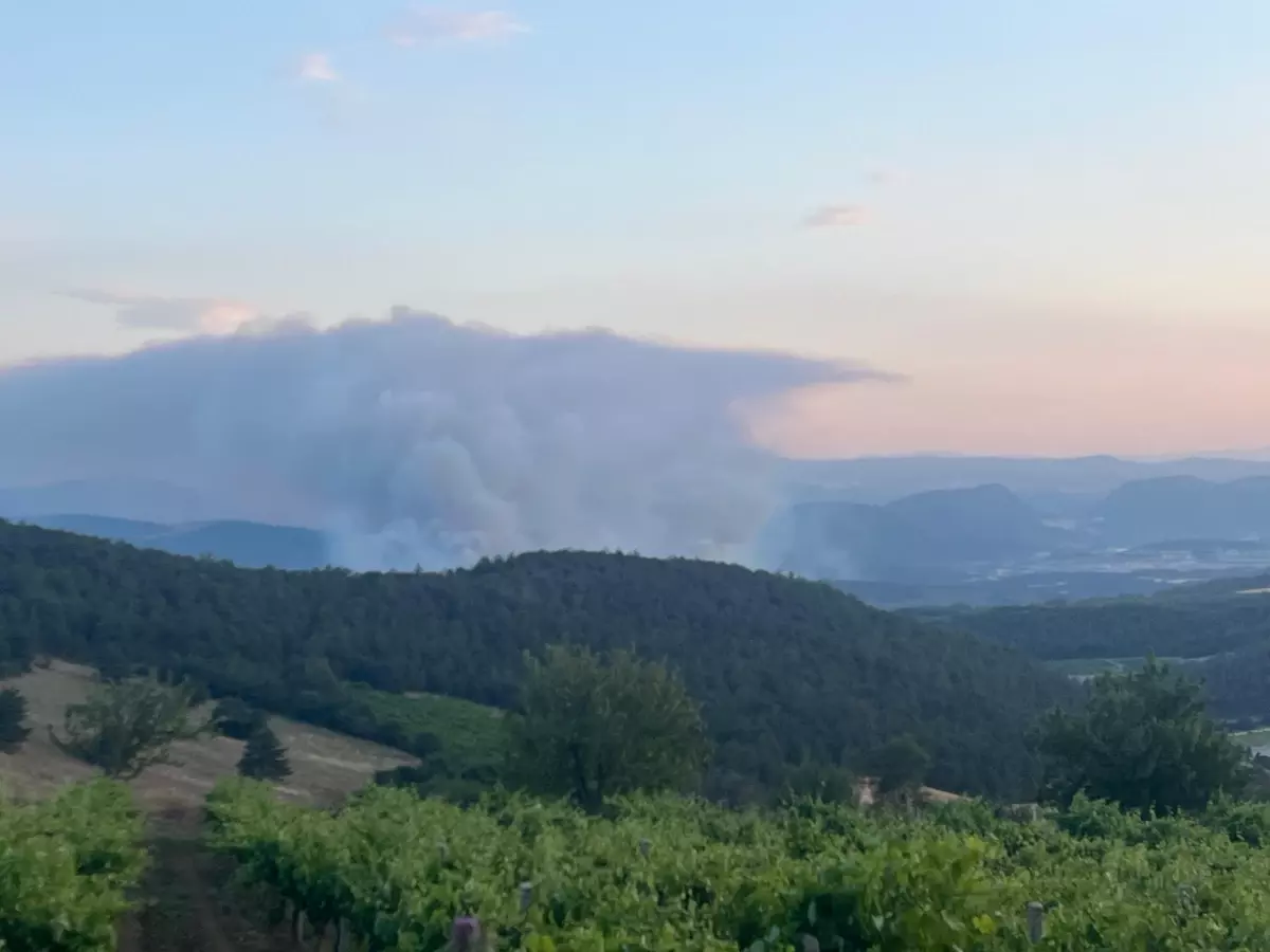 Sakarya'daki Orman Yangını Üçüncü Günde Kısmen Kontrol Altına Alındı