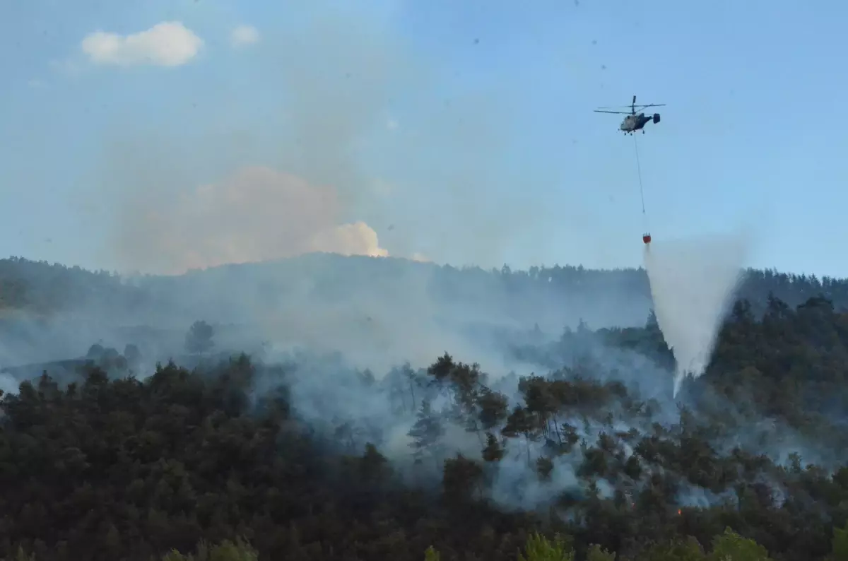 Sakarya'da Orman Yangınına Hızla Müdahele