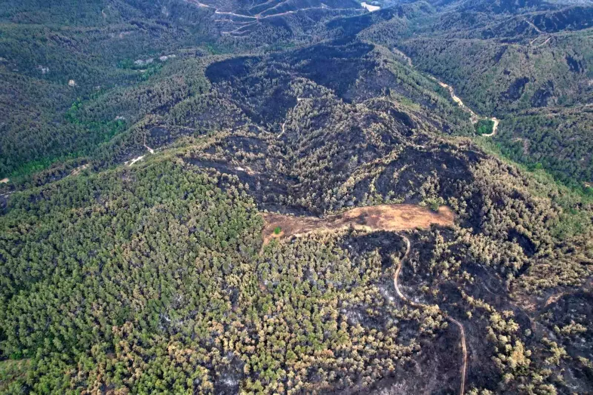 Sakarya'nın Taraklı İlçesindeki Yangınla Mücadele Devam Ediyor