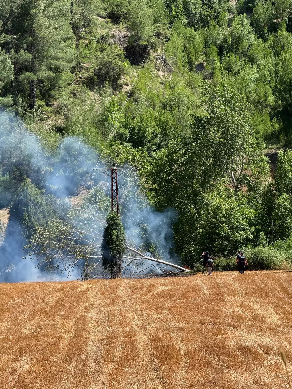 Kozan'da Kopan Elektrik Teli Yangına Sebep Oldu