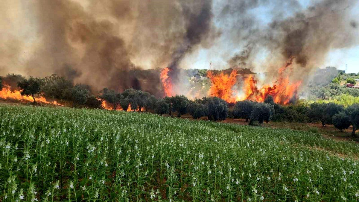 Antalya'da Orman Yangını Kontrol Altına Alındı