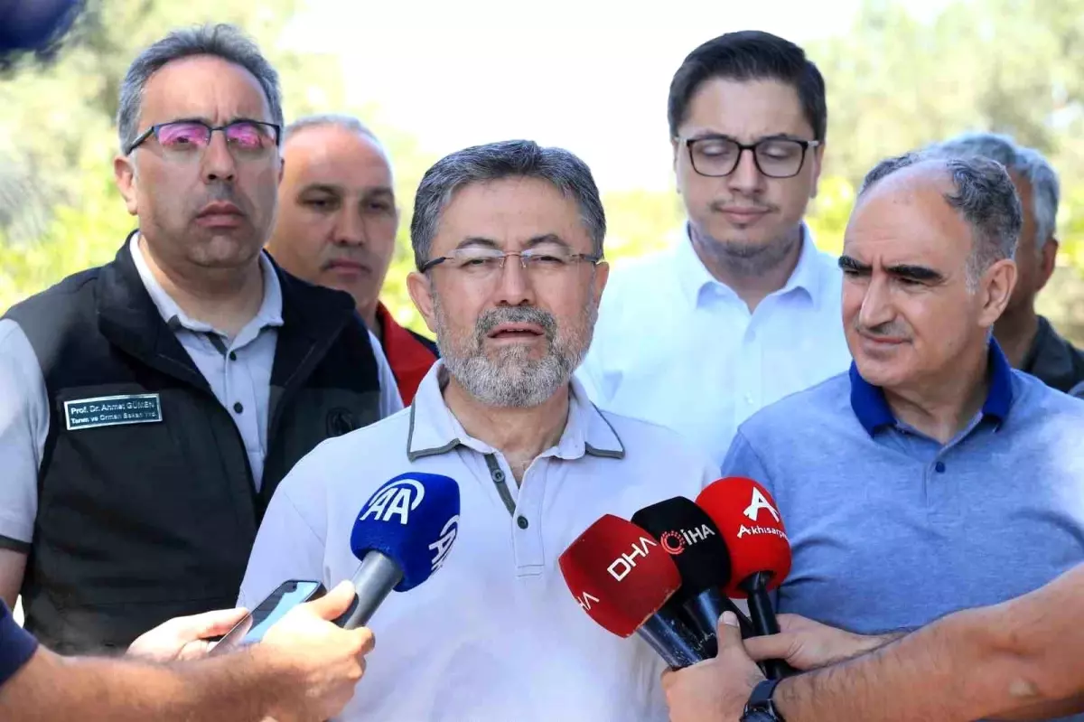 Orman Yangınlarıyla Mücadelede Son Durum: Bakan Yumaklı Açıklamalarda Bulundu
