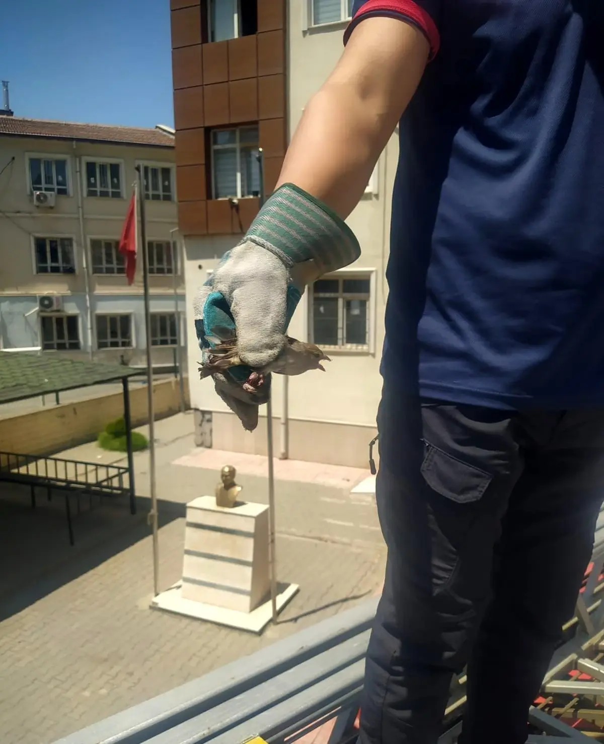 Batman'da Ayağı Telle Sıkışan Kuş Kurtarıldı