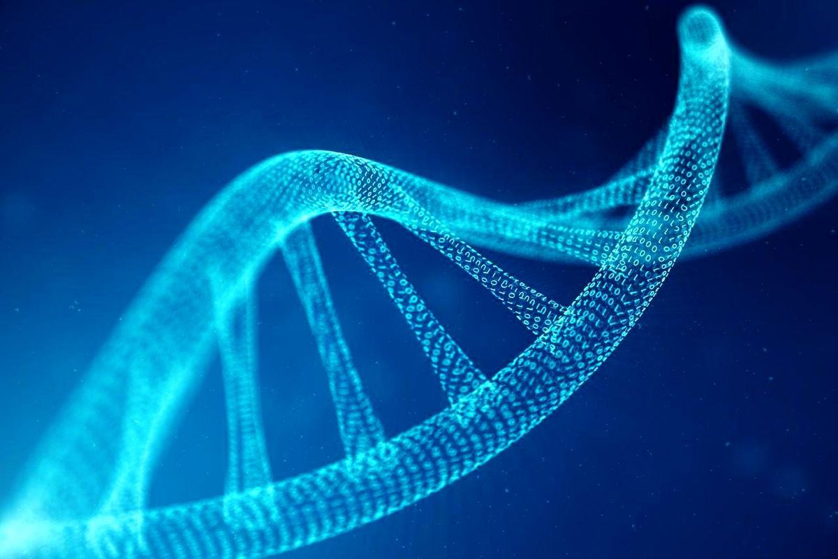 Yapay insan DNA'sı üretme projesi hakkında neler biliniyor?