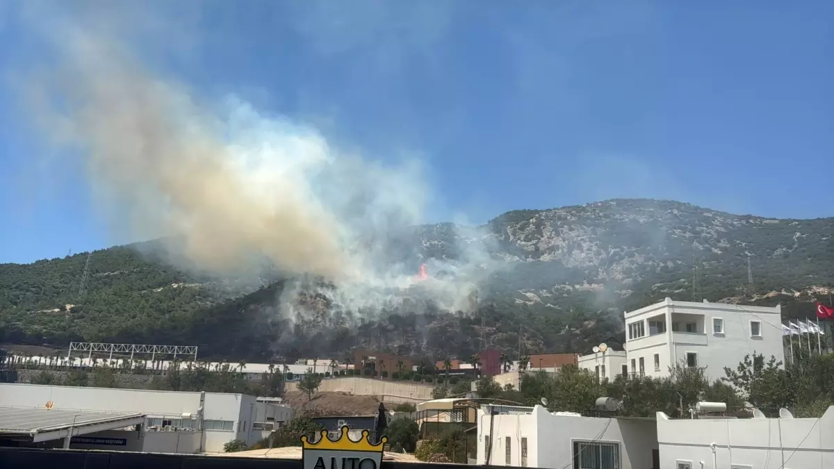Bodrum'daki Yangın 3 Saatte Kontrol Altına Alındı
