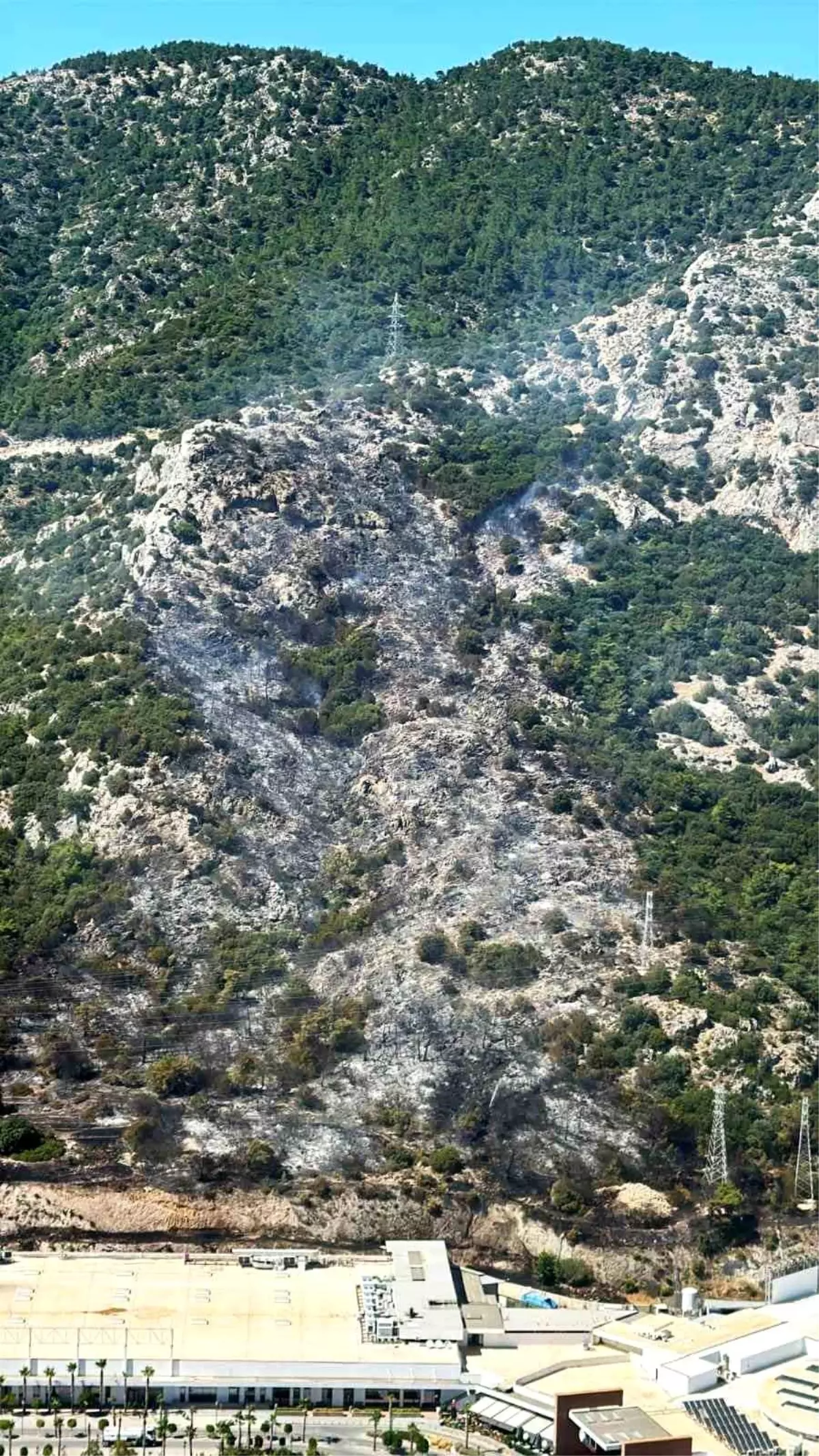Bodrum'da Orman Yangını Kontrol Altına Alınıyor