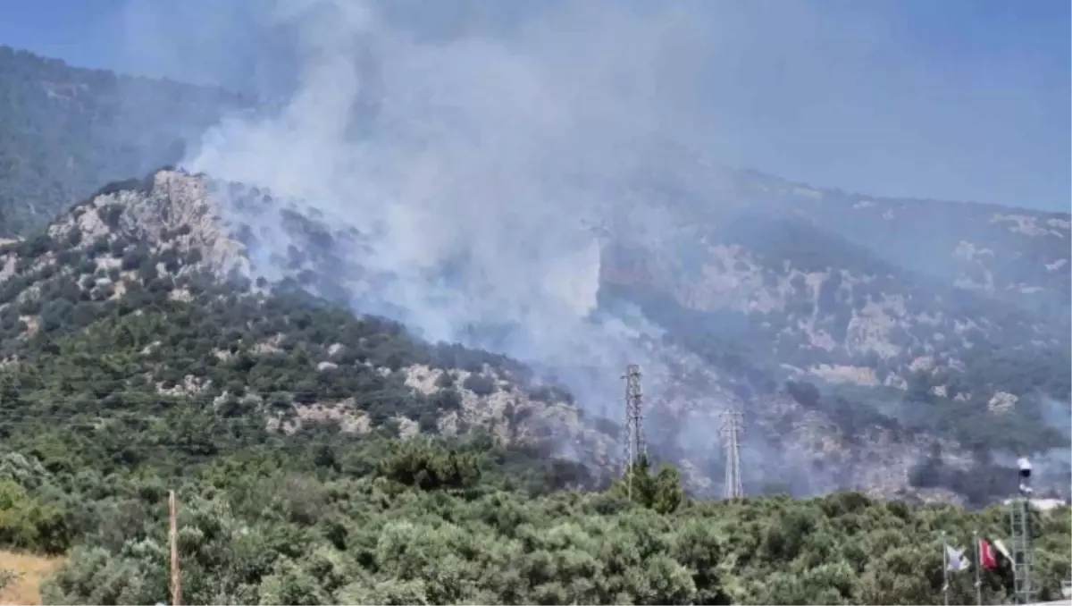 Bodrum yangın söndü mü, devam ediyor mu?