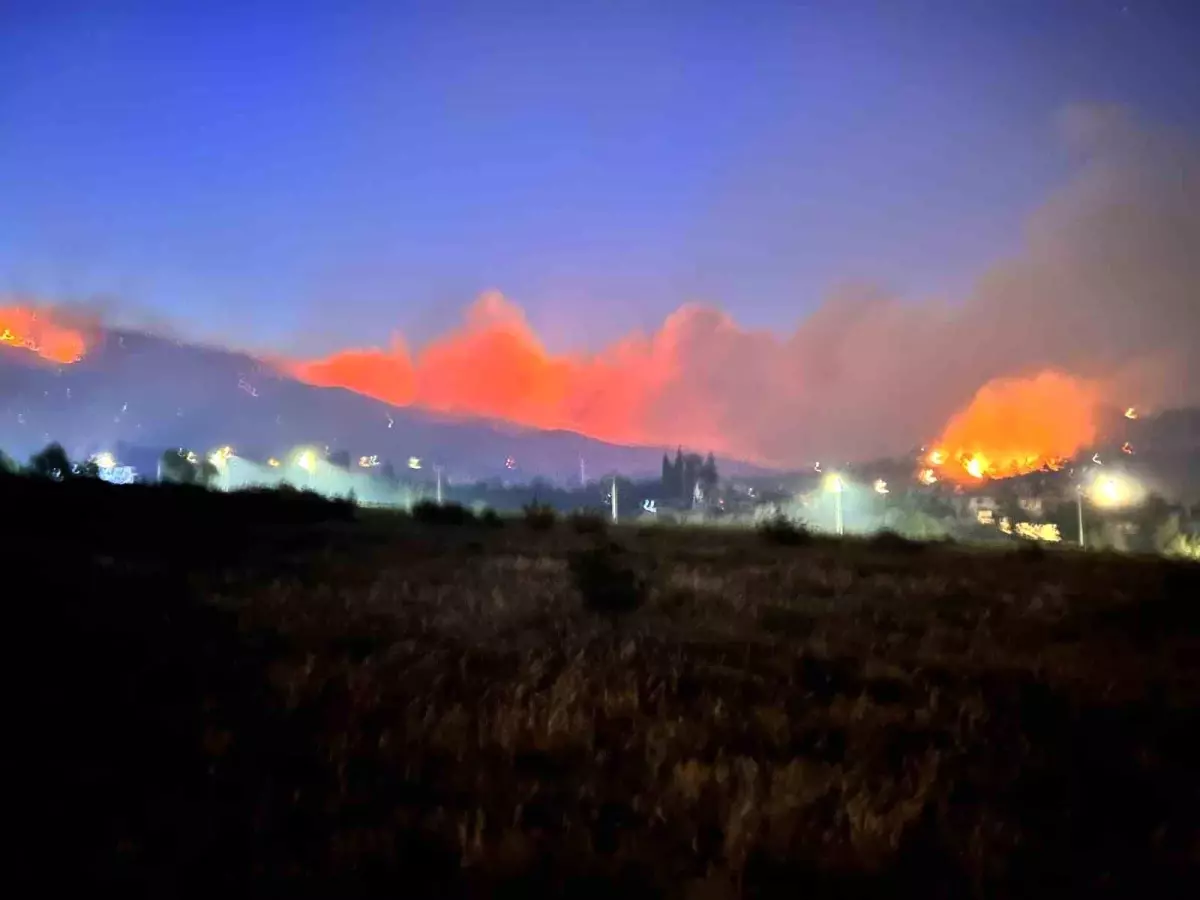 Hatay'da Orman Yangını: 1800 Kişi Tahliye Edildi