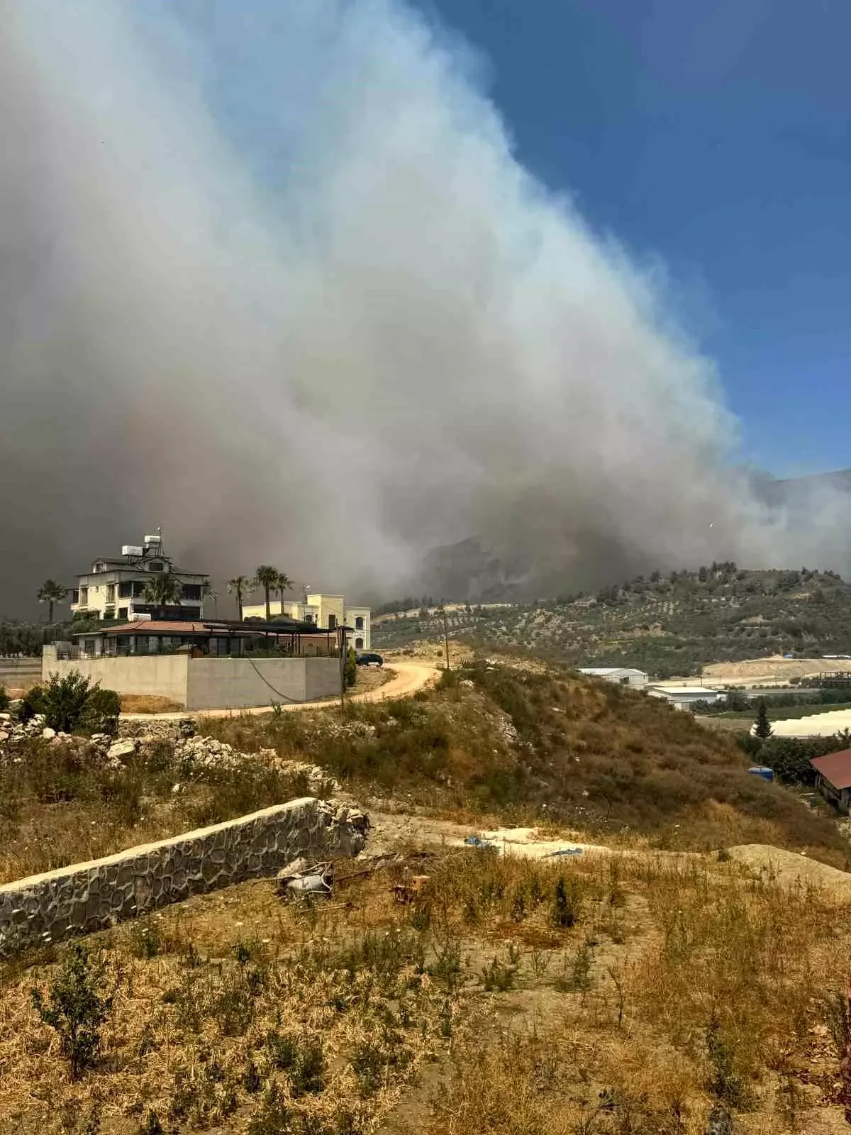 Hatay'da Ormanlık Alanda Yangın Çıktı