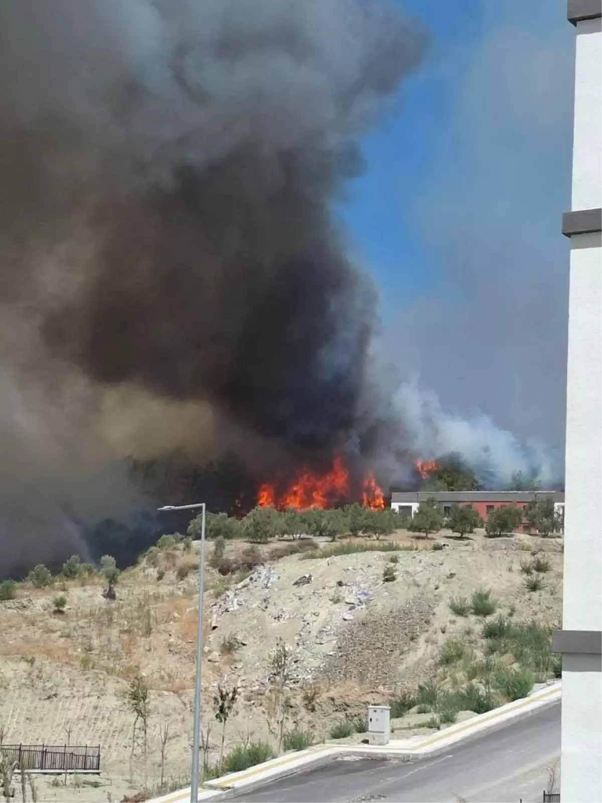 Hatay'ın Antakya İlçesinde Orman Yangını