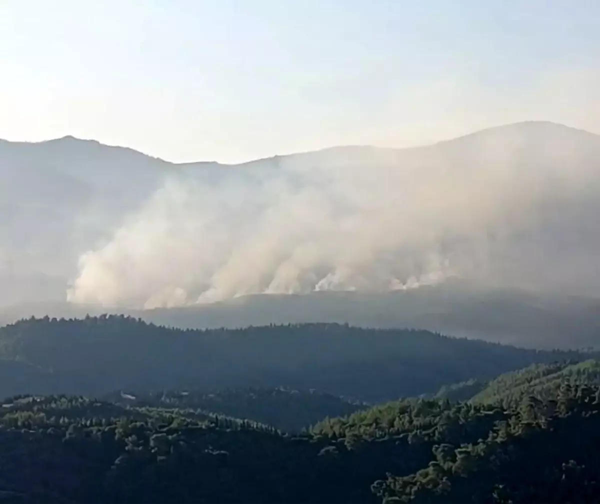 İzmir'de Orman Yangınına Hava Müdahalesi Başladı
