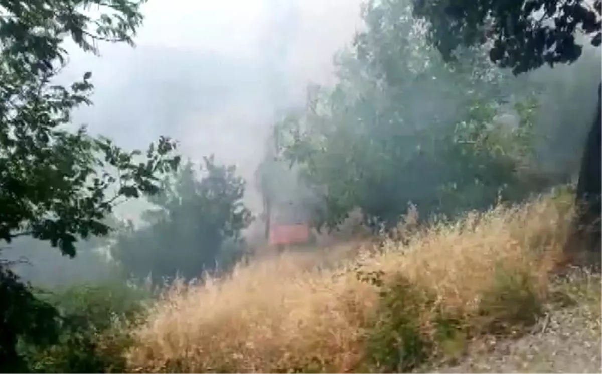 Kahramanmaraş'ta Orman Yangını Kontrol Altına Alındı