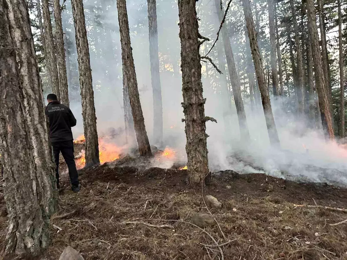 Kızılcahamam'da Piknik Ateşinden Orman Yangını Çıktı