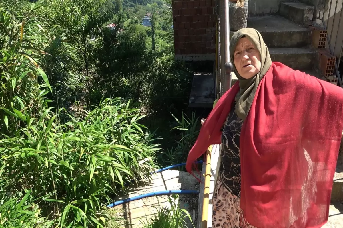 Mahalle sakinlerinden kamış isyanı: Bir kaç sene sonra köy kapanır