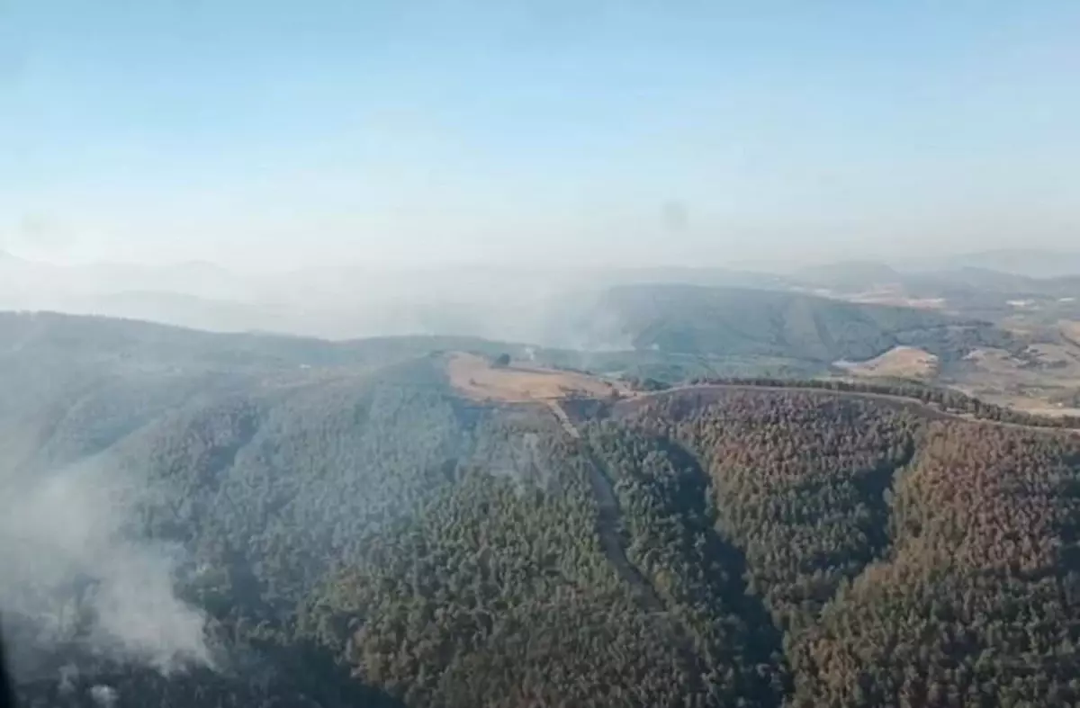 Manisa'daki Orman Yangını Üçüncü Gününde Mücadele Ediliyor