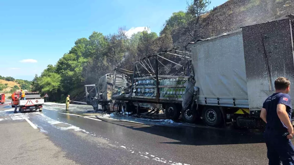 Bursa'da Motor Yağı Yüklü Tır Yangını: Ormanlık Alan Zarar Gördü