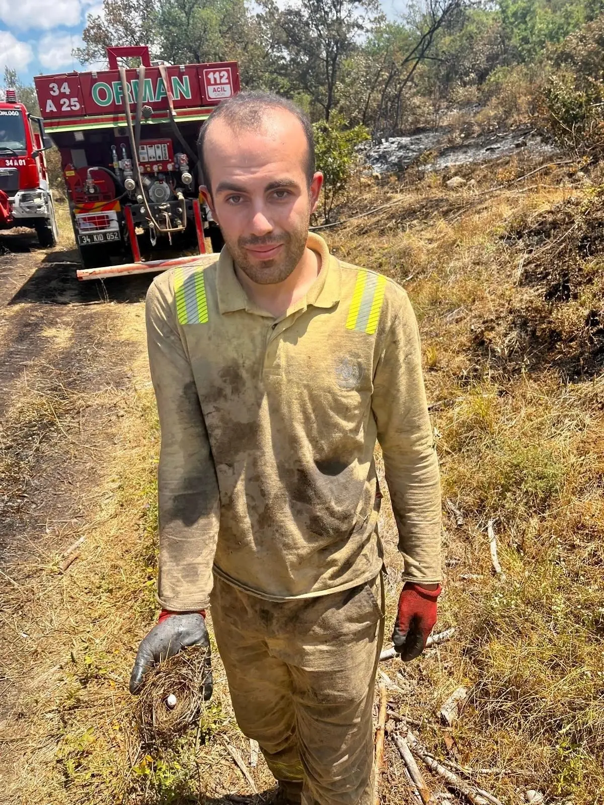 Orman Yangınında Kuş Yuvasi Koruma Altına Alındı