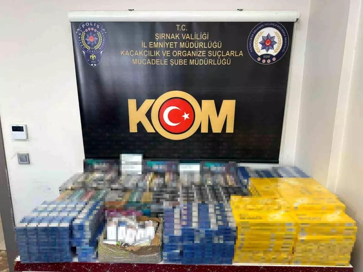 Şırnak'ta Narkotik ve Organize Suçlarla Mücadele Operasyonları: 66 Gözaltı