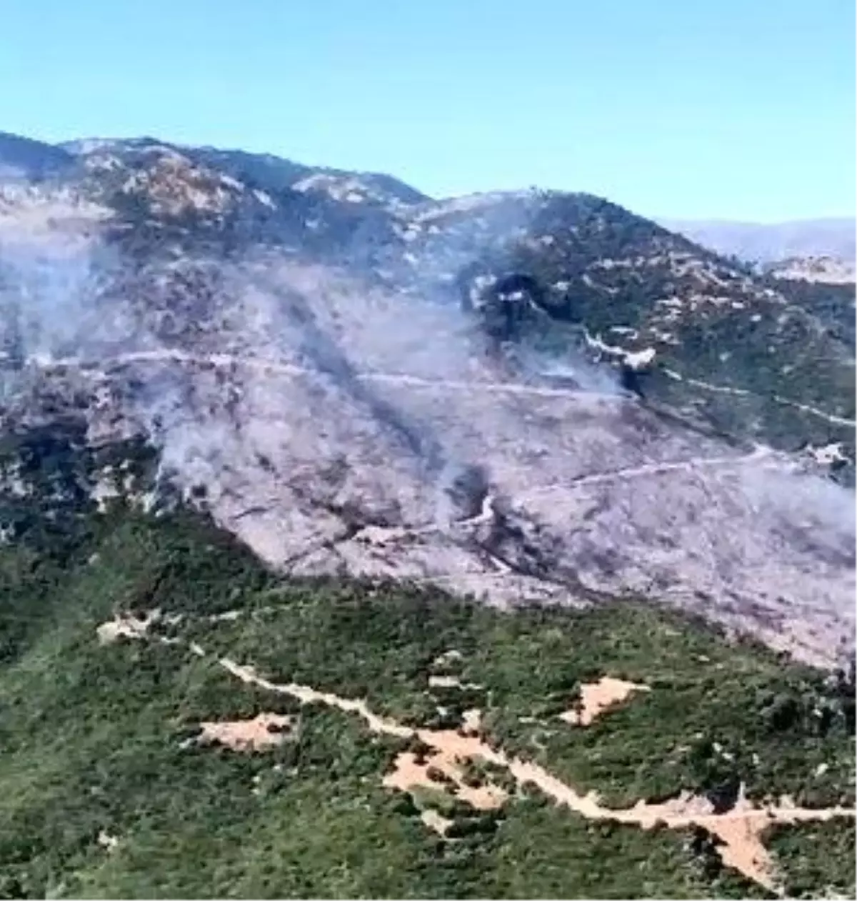Aydın'da Orman Yangını Söndürme Çalışmaları Devam Ediyor