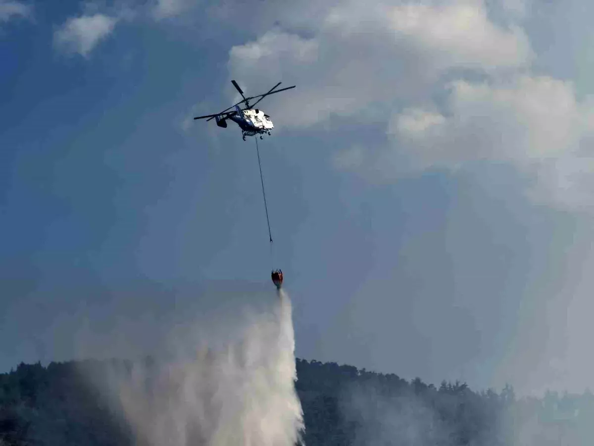 Sakarya'daki Orman Yangını ile İlgili 3 Kişi Gözaltına Alındı