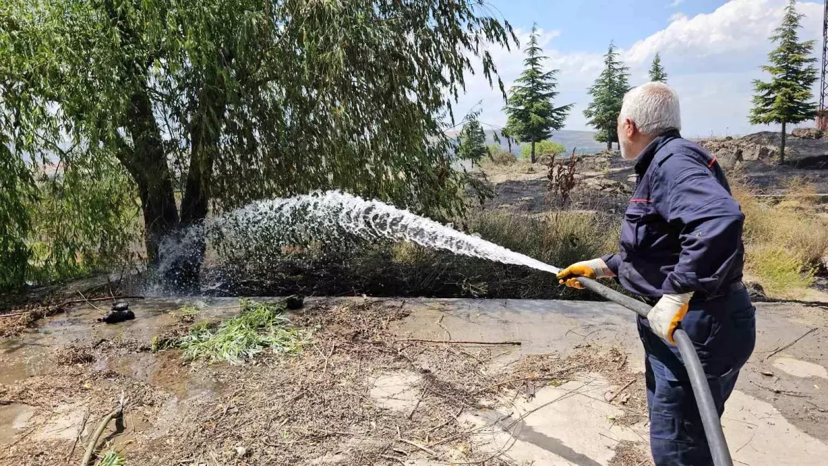 Bitlis'te Meyve Ağaçlarıyla Yemlik Alan Yandı
