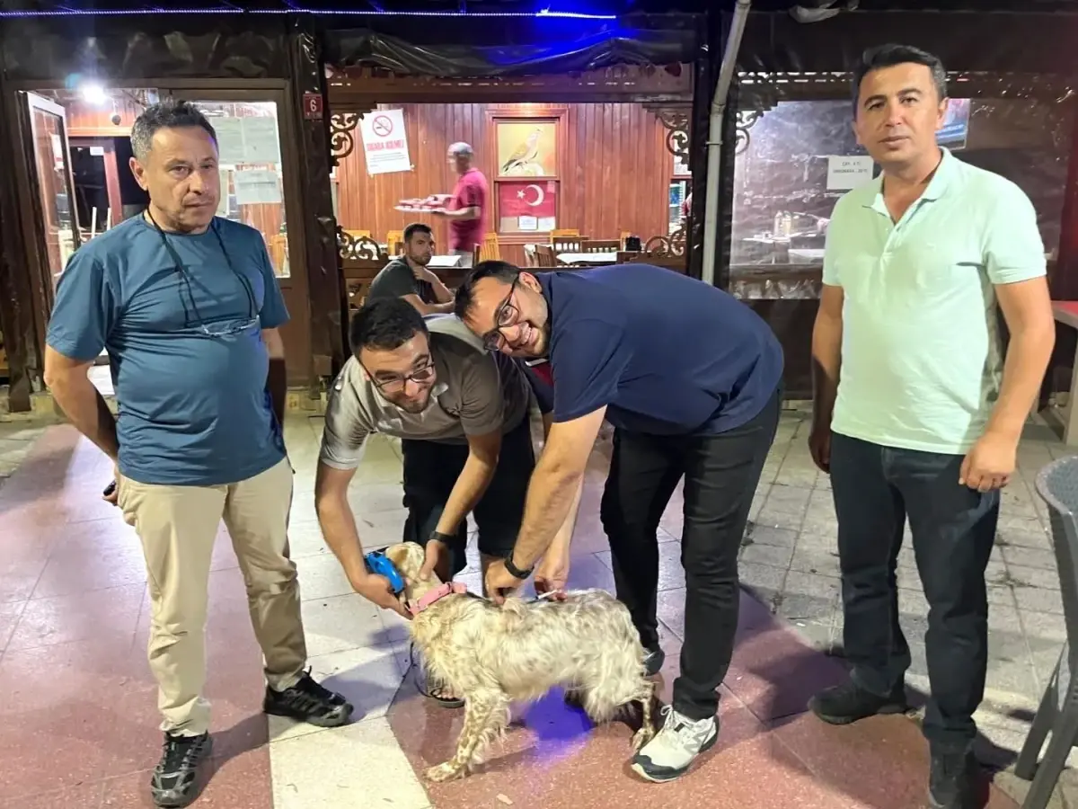 Havran'da Kuduz Aşısı Uygulaması Gerçekleştirildi
