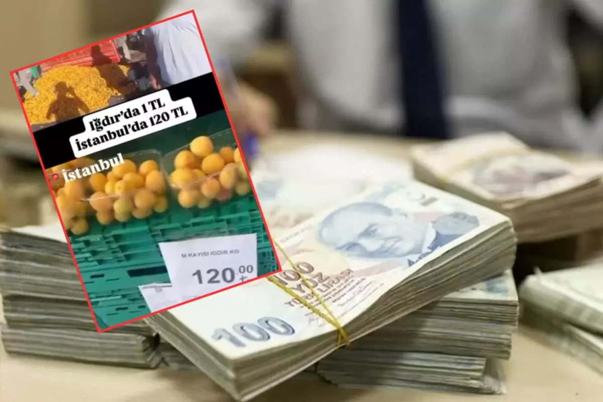 CHP'li ismin 'kayısı' yalanı pahalıya patladı! Kesilen cezaya bakın