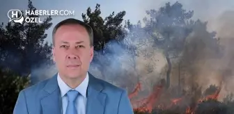 AK Parti Sakarya Milletvekili Murat Kaya: Yangınlarda sabotaj değil ihmal şüphesi öne çıkıyor