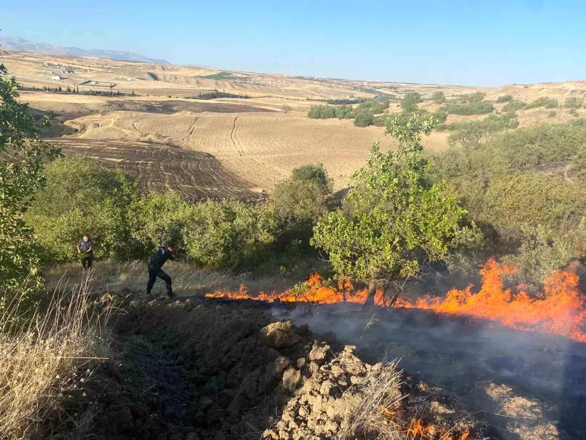 Adıyaman'da Anız Yangını Bahçelere Sıçradı